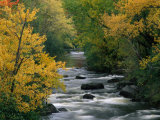 Autumn Colours on the Banks of the Rue River  Quebec  Canada