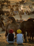 Boys and Camels at Pushkar Camel Fair  Pushkar  Rajasthan  India