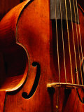 Stringed Instrument in Museum  Brussels  Belgium