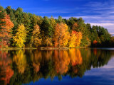 Autumn Trees in New Hampshire  New Hampshire  USA