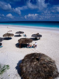 View of Famous Pink Sand Beach  Eleuthera  Pink Sands Beach  Harbour Island  Bahamas