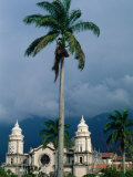 Cathedral of Merida and Palm Tree  Merida  Venezuela