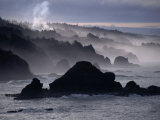 Coastline of Mendocino  Sonoma  USA