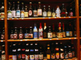 Beer  Beer and More Beer in Brussels  Brussels  Belgium