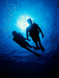 Couple Diving  USA