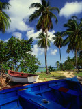 Wooden Fishing Boats Among Palm Trees  Pigeon Point  Trinidad & Tobago