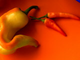 Chilli Peppers in Varying Shades on an Orange Plate  Australia