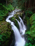 Sol Duc Falls Olympic National Park  Washington  USA