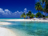 People Swimming in Lagoon  French Polynesia
