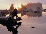 Drift Logs and Sea Stacks at Dusk  Olympic National Park  USA