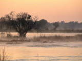 Early Morning Mist Rises off the Zambezi River  Zambezi National Park  Matabeleland North  Zimbabwe