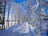 Snow on Country Lane  Liminka  Finland