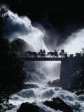 Pony Carts Crossing Bridge Over Waterfall and Rapids  Briksdal  Norway
