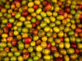 Olives from a Stall in the Central Market  Athens  Athens  Attica  Greece