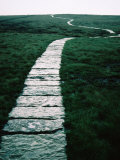 Path of Slate Over Featherbed Moss  Part of Pennine Way Walking Trail  Derbyshire  England