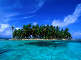 Coconut Palm Trees on Key in San Blas Islands  Panama