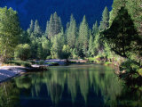 Merced River  Yosemite National Park  USA