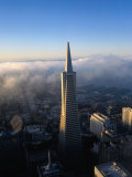 Aerial View of Transamerican Pyramid Building  San Francisco  USA