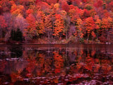 Fall Colours Reflected in the River  Vermont  USA