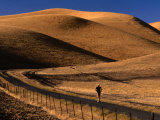 Person Jogging along Road Through Hills  USA