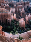 Overhead of "Hoodoo" Limestone  Sandstone and Mudstone Formations  Bryce Canyon National Park