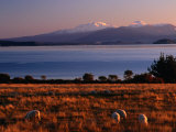 Lake Taupo in Tongariro National Park  New Zealand