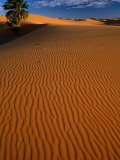 Erg Chebbi  on Edge of the Sahara Desert  Merzouga and the Dunes  Er-Rachidia  Morocco