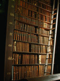 Bookshelf in Long Room of Historic Trinity College  Dublin  Ireland