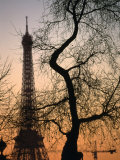 Sunset Over the Jardin Des Tuileries and Eiffel Tower  Paris  Ile-De-France  France