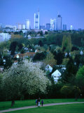 Walking Path in Park  Lohrberg  Frankfurt-Am-Main  Germany
