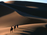 Camel Caravan Crossing the Erg Chebbi Dunes of Merzouga  Erg Chebbi Desert  Morocco