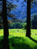 Couples Walk on Paths Through the Spring Fields  Yosemite Valley  California  USA