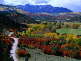 Autumn at Sneffels Ridge  Colorado  USA
