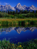 The Grand Tetons Reflected in Tarn  Grand Teton National Park  Wyoming  USA