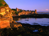 Ruins of St Andrews Castle at Dawn  St Andrews  United Kingdom