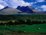 Ben Nevis and Pastoral Lands Near Gairloch  Scotland