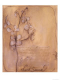Whisper III