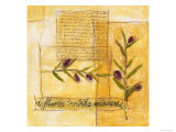 Olivese of Italy II