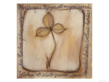 Petals of a Tree II