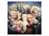 Orchid Sonata