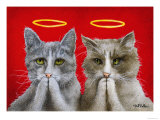 Holy Cats