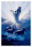 Wild Spirit