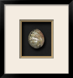 Polished Pink Abalone I