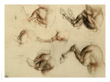 Study of Running Horses  Drawing  Royal Library  Windsor