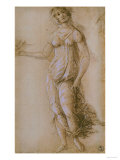 Study of Pallas  Gabinetto Dei Disegni E Delle Stampe  Uffizi Gallery  Florence
