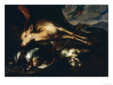 Game with Deer  Goat and Birds  Palatine Gallery  Florence