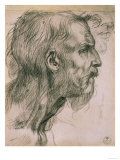 Drawing with Male Profile  in the Uffizi Gallery  in the Gabinetto Dei Disegni E Delle Stampea