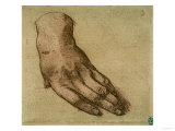 Study of a Left Hand