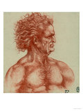 Study for a Male Head  Pen Drawing on White Paper Preserved at the Royal Library of Windsor
