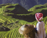 Zhuang Girl with Rice Terraces